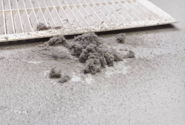 Best HVAC Duct Inspection Services  in Mayville, MI