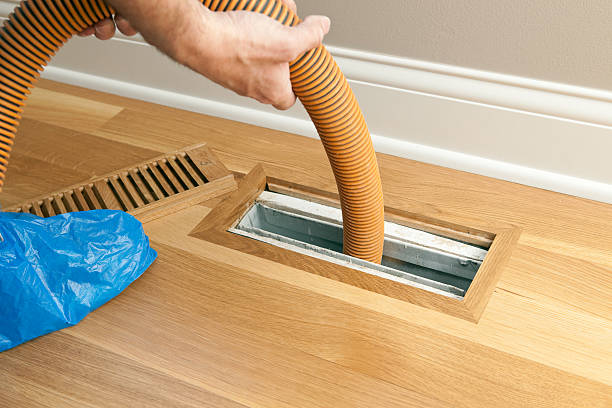 Best HVAC Air Duct Cleaning  in Mayville, MI